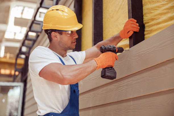 Best Siding Painting and Refinishing  in Briggs, OK